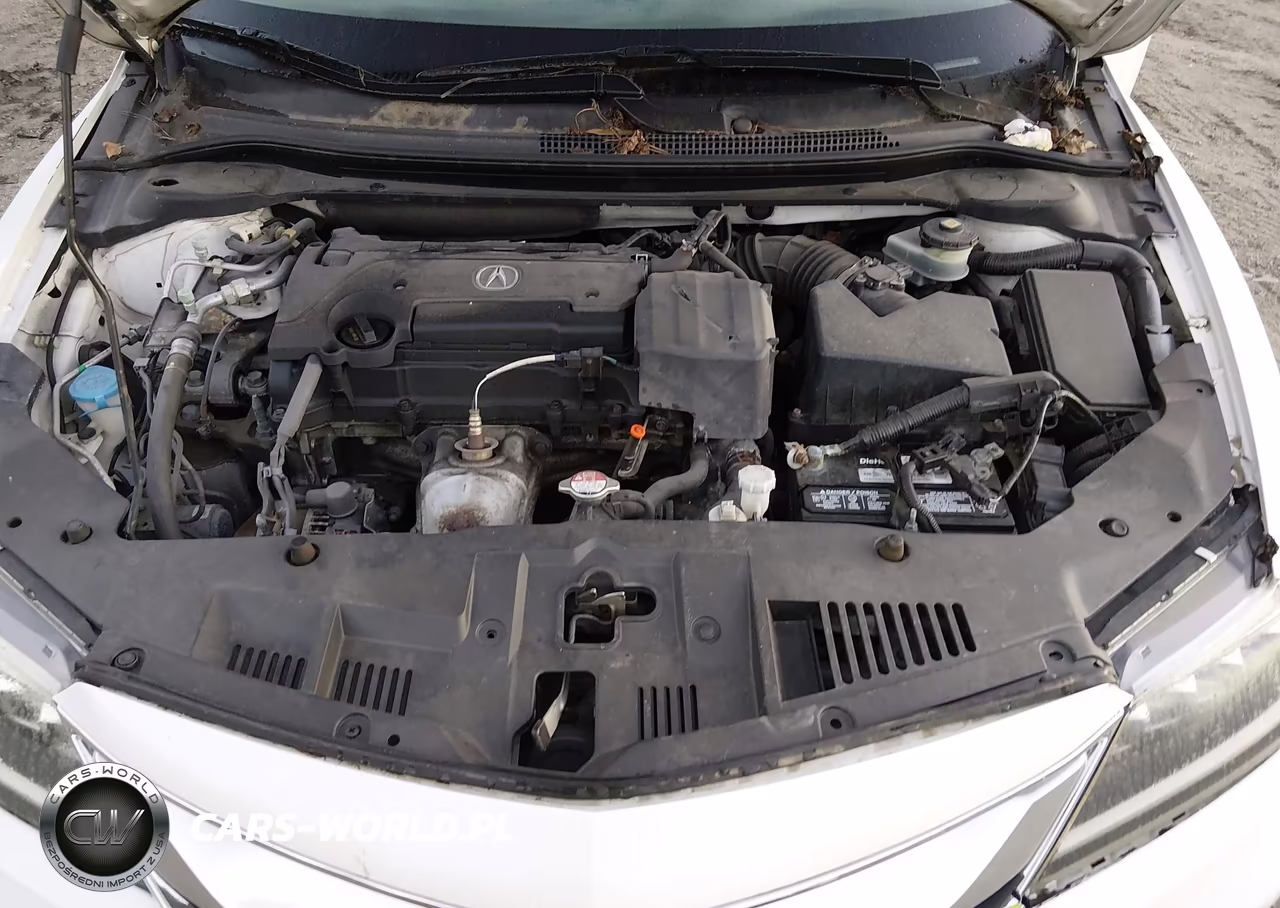 2016 Acura Ilx Premium Package-Technology Plus Package VIN:19UDE2F7XGA013539 - 10
