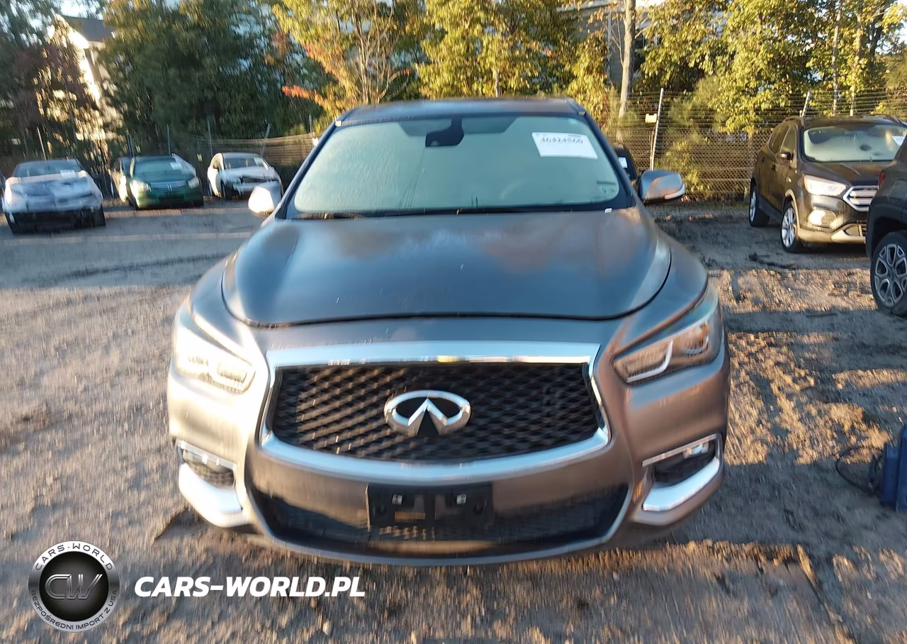 2019 Infiniti Qx60 Pure VIN:5N1DL0MM1KC531792 - 12