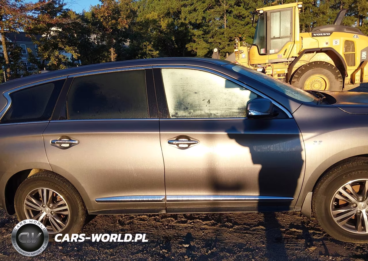 2019 Infiniti Qx60 Pure VIN:5N1DL0MM1KC531792 - 13