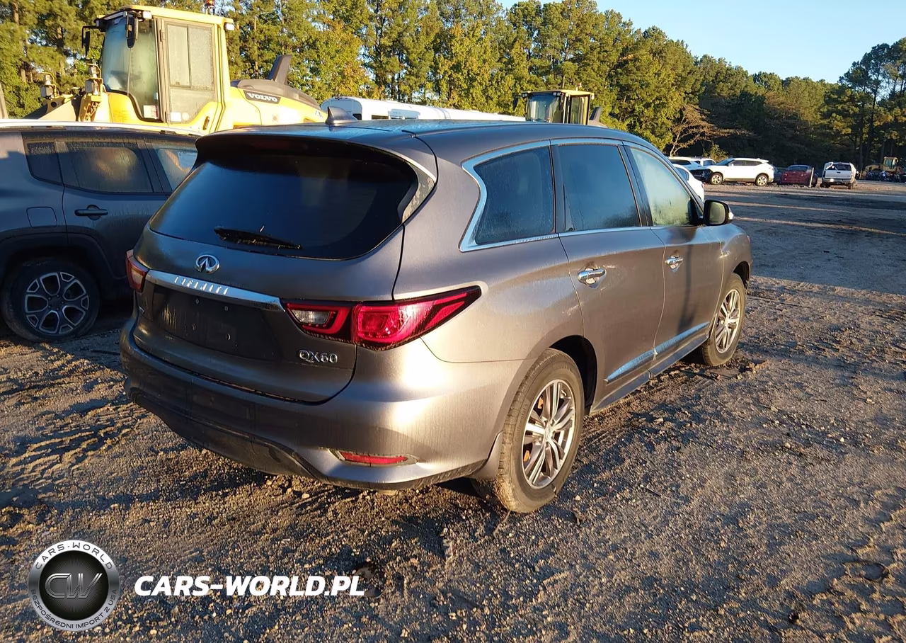 2019 Infiniti Qx60 Pure VIN:5N1DL0MM1KC531792 - 4