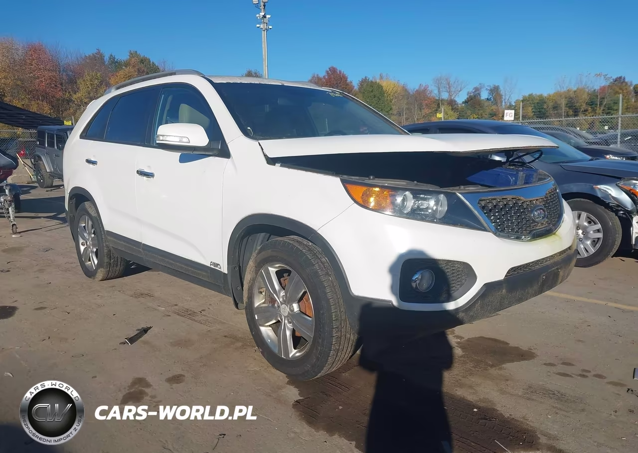 2013 Kia Sorento Ex VIN:5XYKUDA62DG374391 - 1