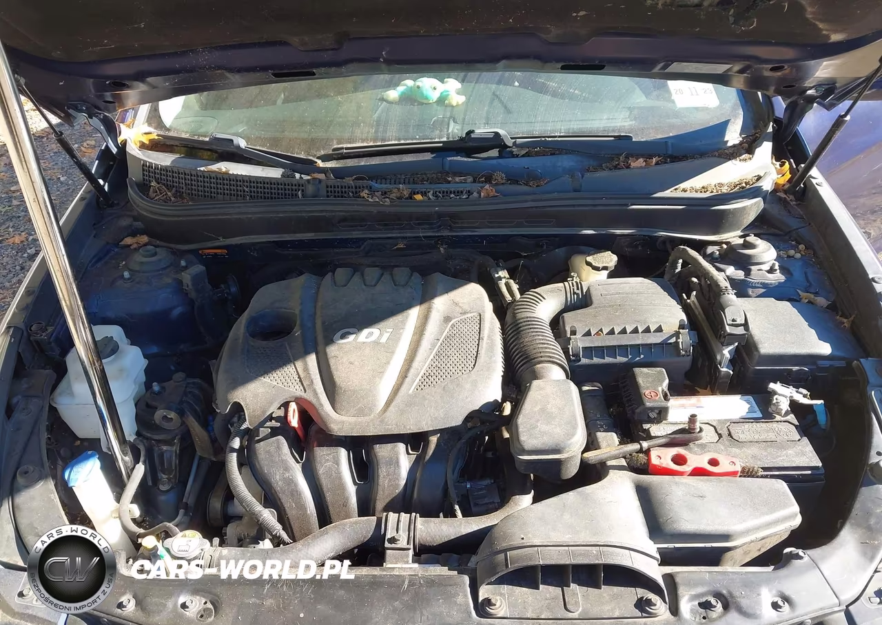 2014 Hyundai Sonata Gls VIN:5NPEB4AC1EH909231 - 10