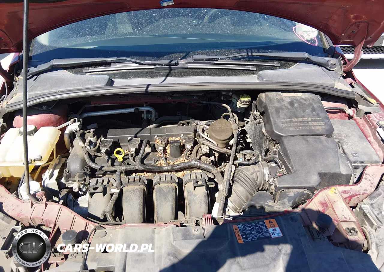 2015 Ford Focus Se VIN:1FADP3F27FL324888 - 10