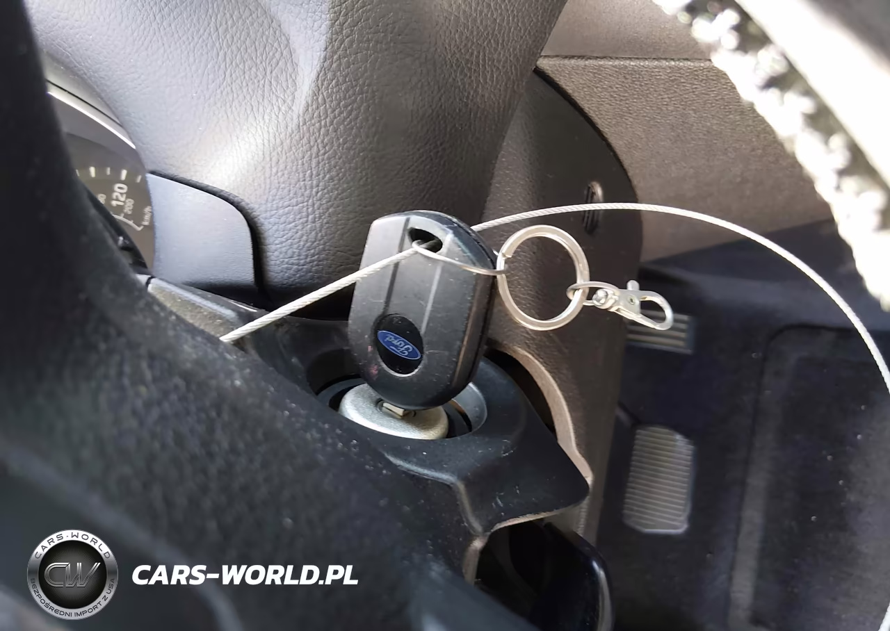 2015 Ford Focus Se VIN:1FADP3F27FL324888 - 11
