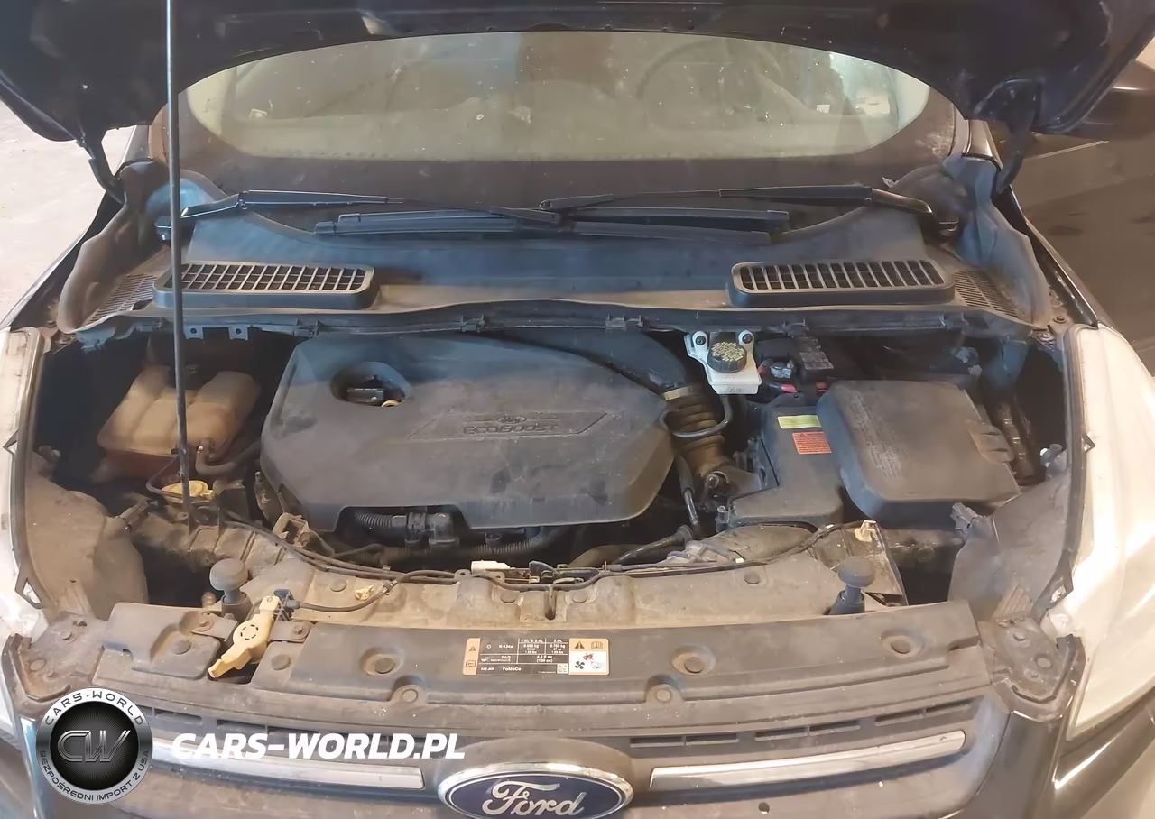 2014 Ford Escape Se VIN:1FMCU0GX4EUD79195 - 10