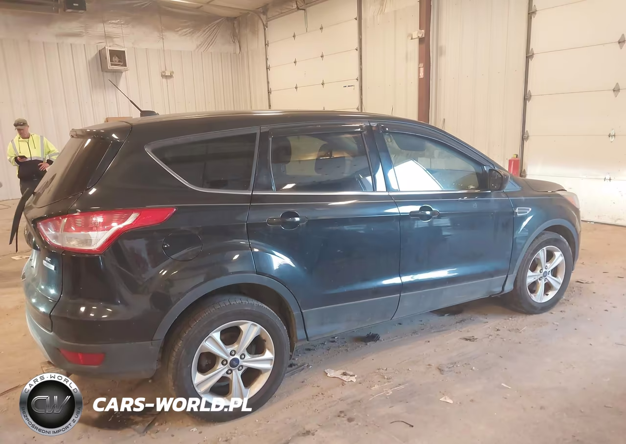 2014 Ford Escape Se VIN:1FMCU0GX4EUD79195 - 4