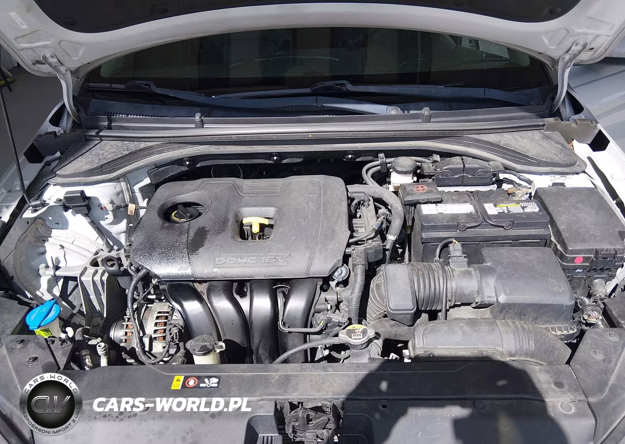 2020 Hyundai Elantra Limited VIN:KMHD84LF4LU928176 - 10