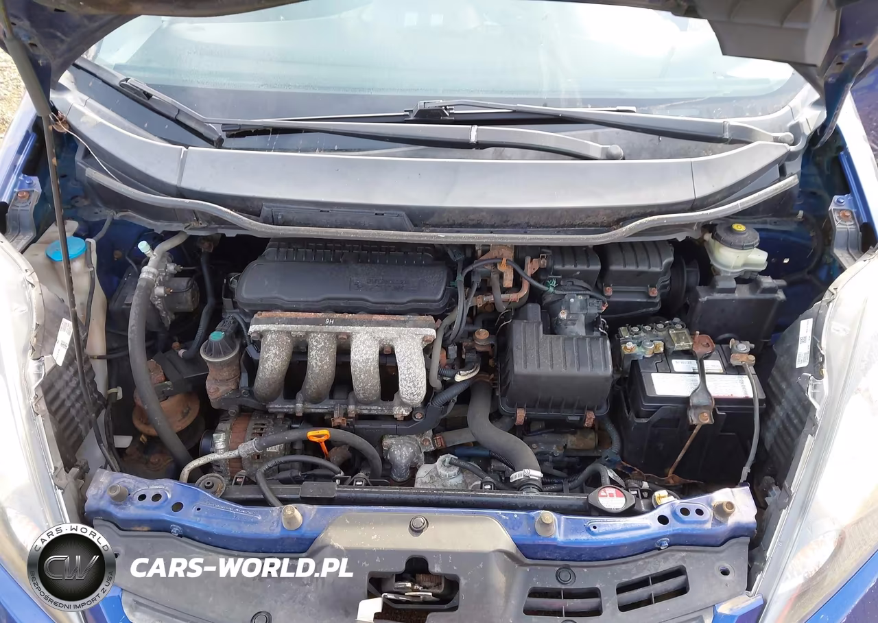 2009 Honda Fit VIN:JHMGE88299S062338 - 10