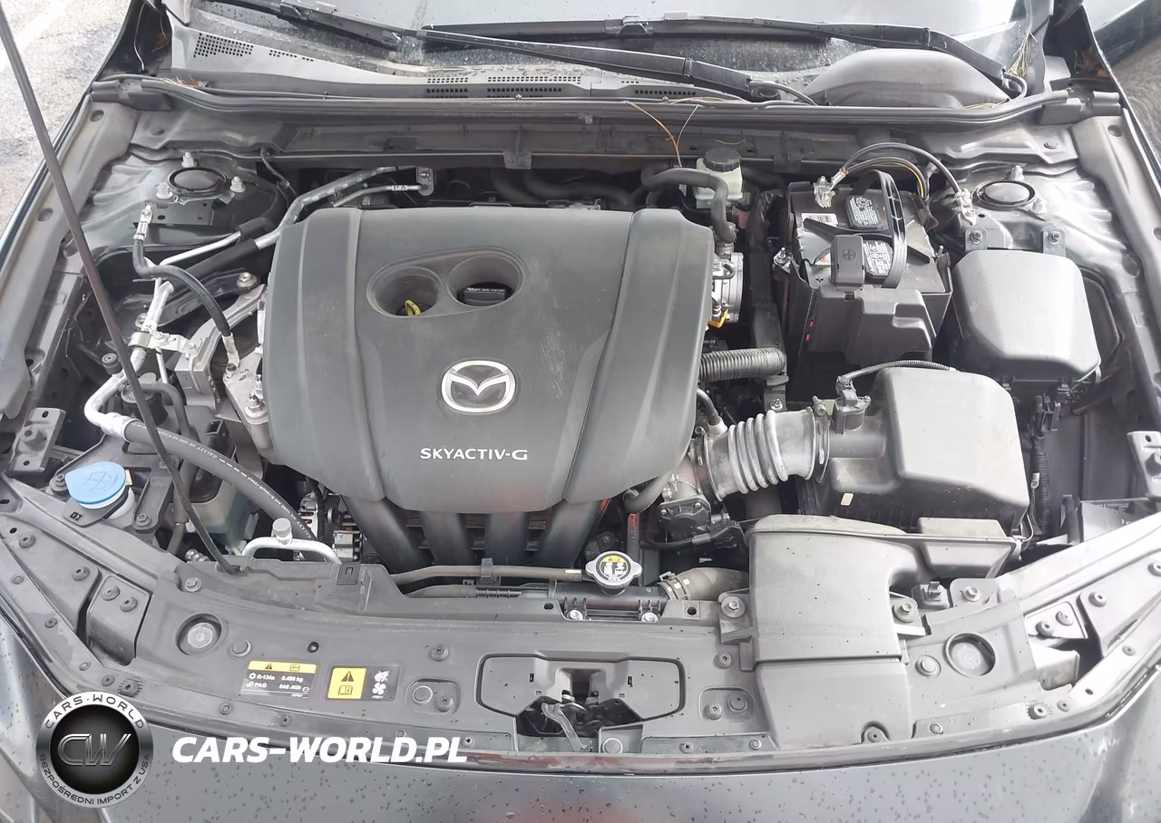 2019 Mazda Mazda3 VIN:JM1BPALM1K1105295 - 10