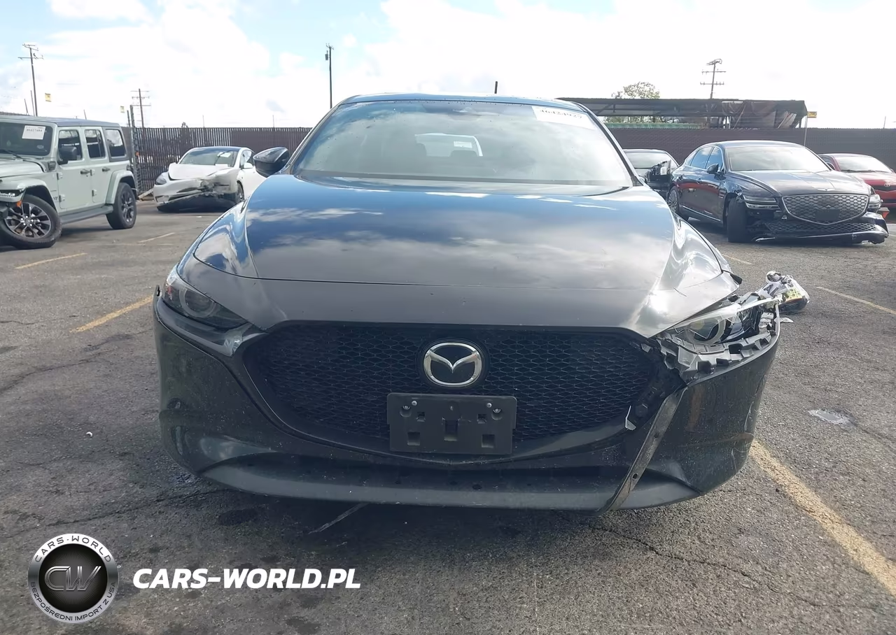 2019 Mazda Mazda3 VIN:JM1BPALM1K1105295 - 12