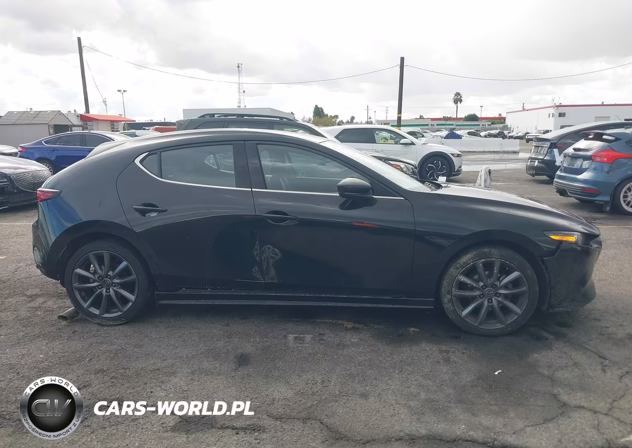2019 Mazda Mazda3 VIN:JM1BPALM1K1105295 - 13