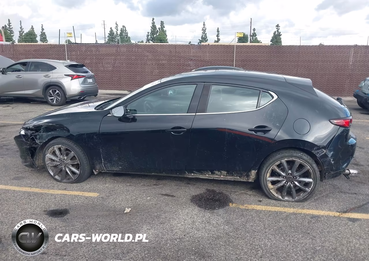 2019 Mazda Mazda3 VIN:JM1BPALM1K1105295 - 14