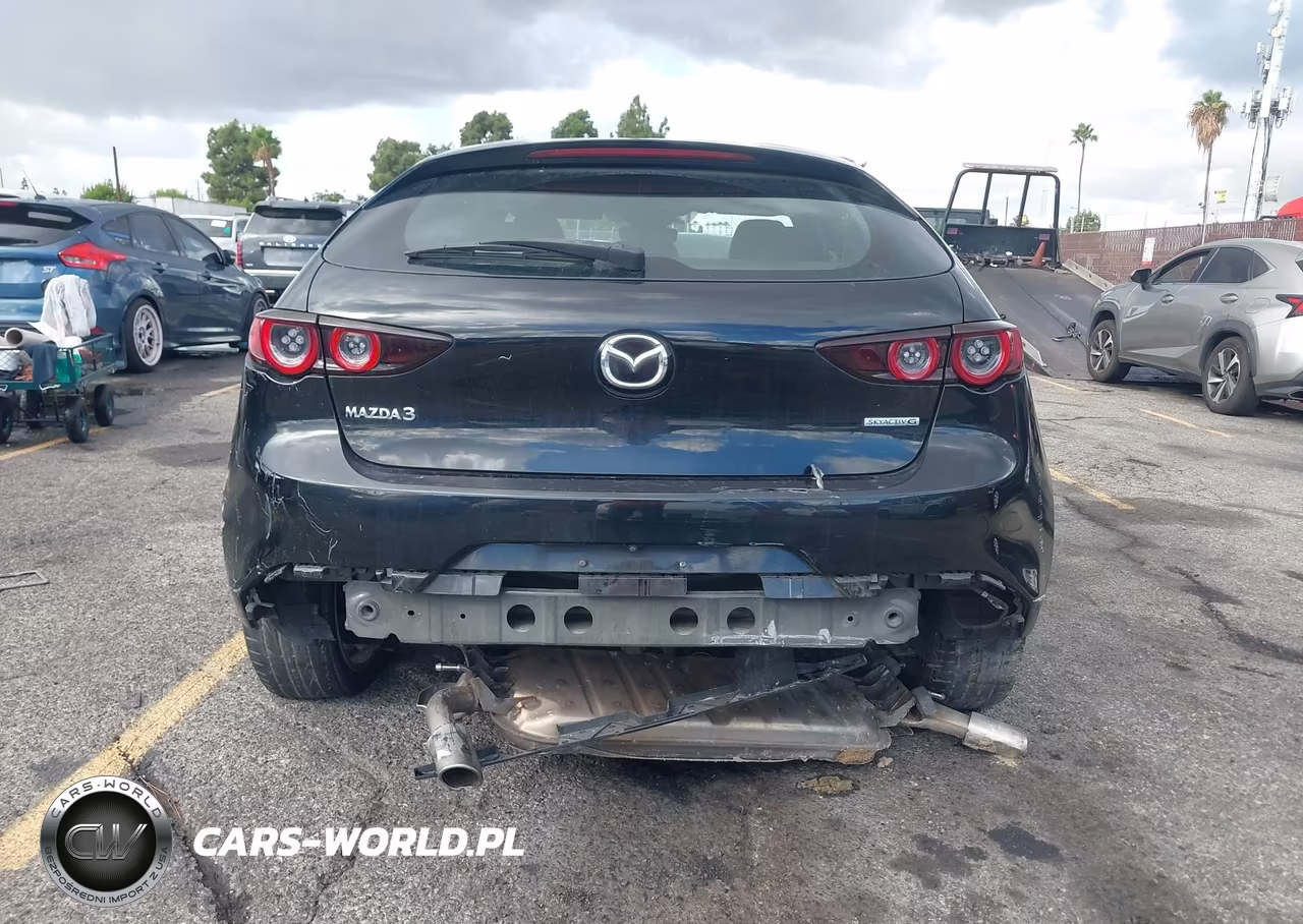 2019 Mazda Mazda3 VIN:JM1BPALM1K1105295 - 16