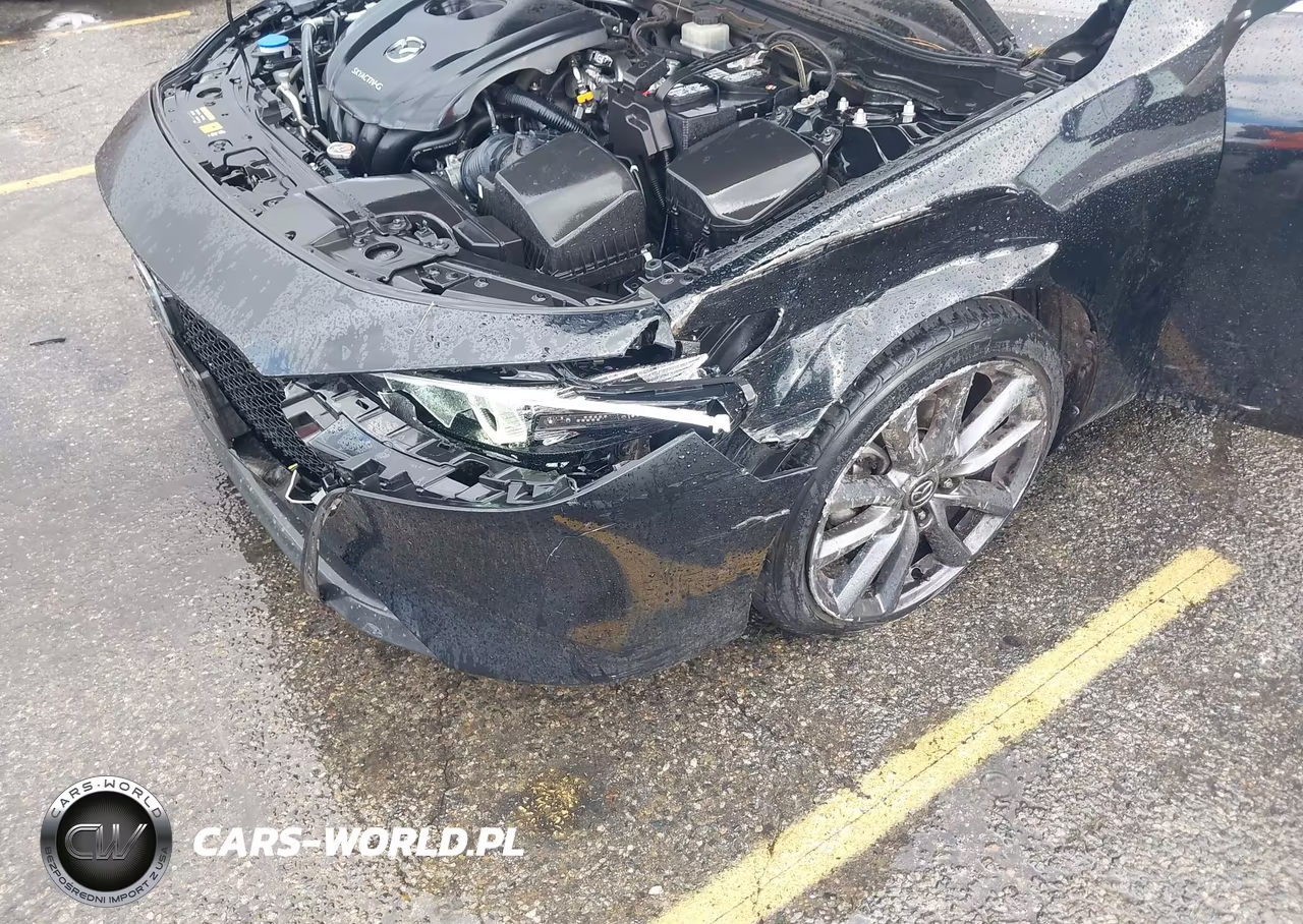 2019 Mazda Mazda3 VIN:JM1BPALM1K1105295 - 6