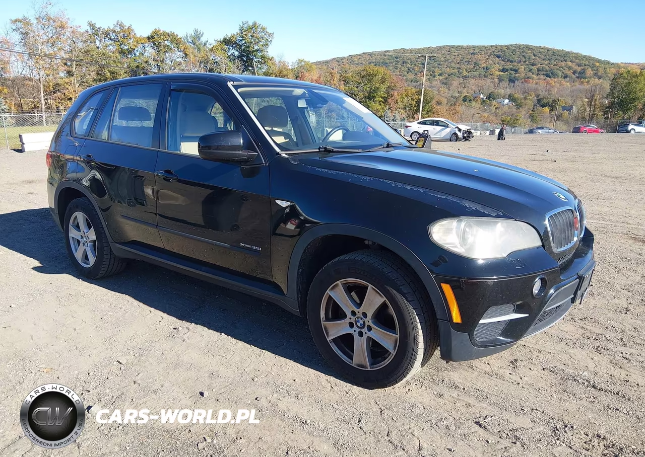 2011 BMW X5 xDrive35I-xDrive35I Premium-xDrive35I Sport Activity VIN:5UXZV4C52BL404327 - 1