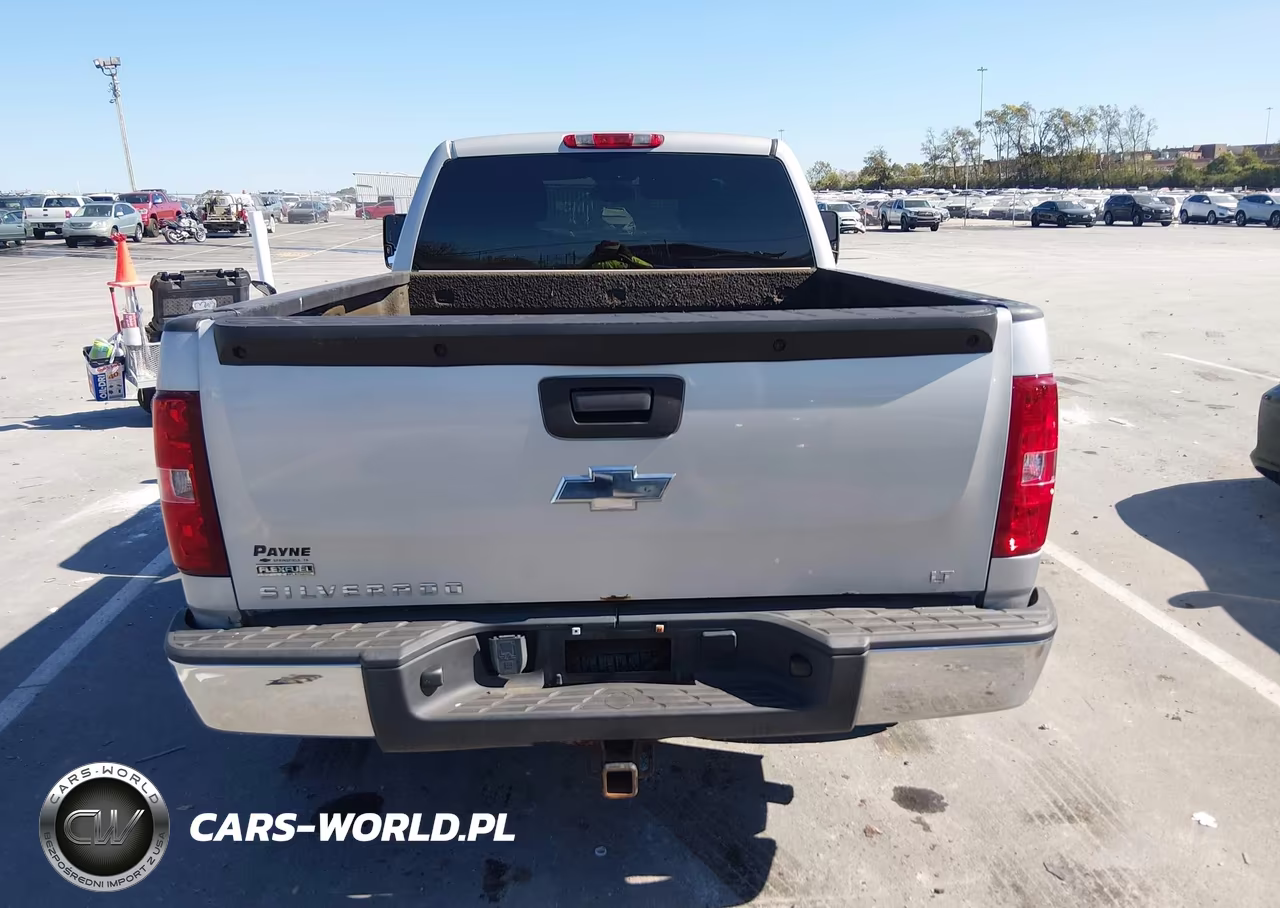2010 Chevrolet Silverado 1500 Lt VIN:1GCSKSE33AZ167340 - 16