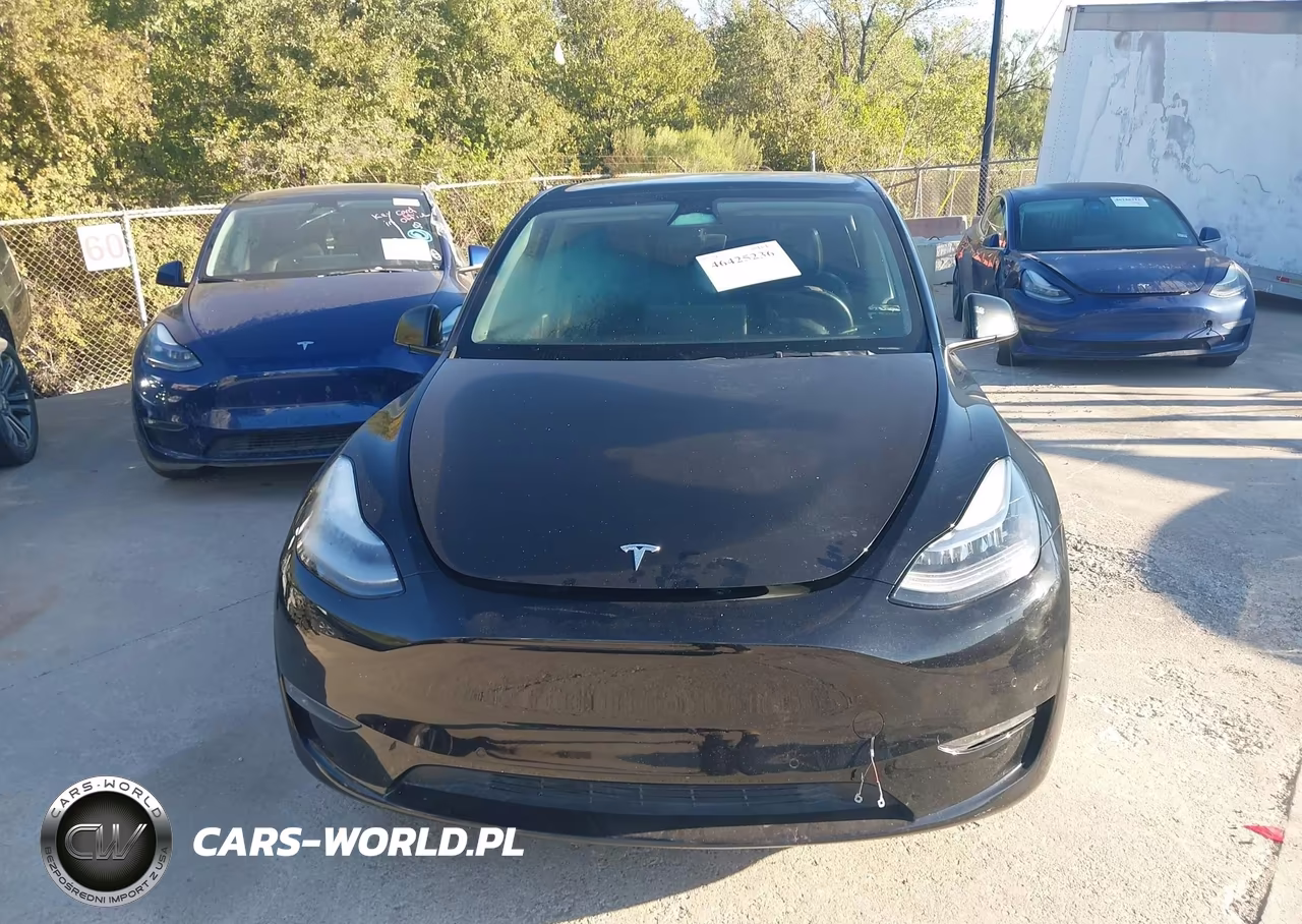 2021 Tesla Model Y Standard Range Rear-Wheel Drive VIN:5YJYGDED6MF163096 - 12