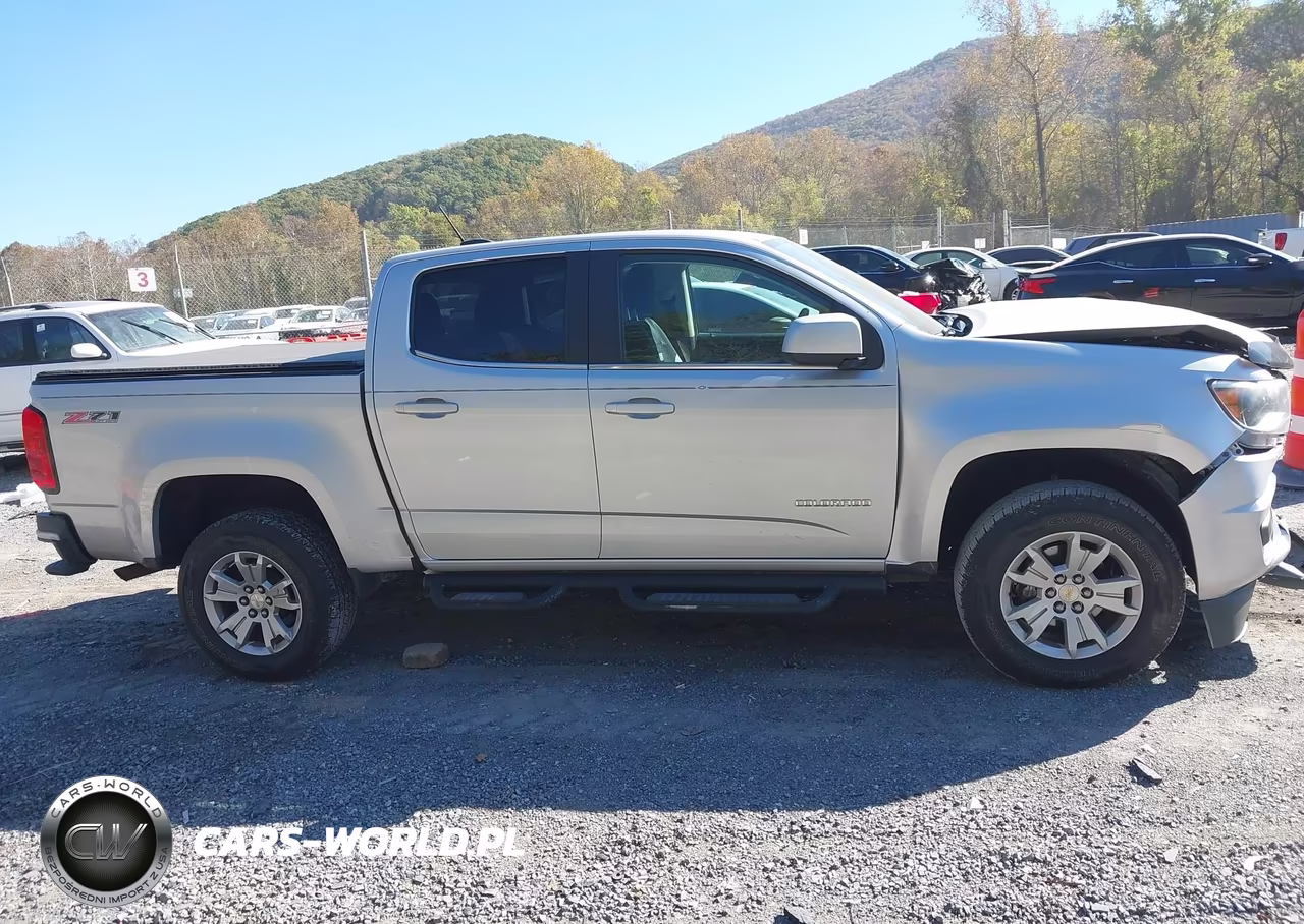 2019 Chevrolet Colorado Lt VIN:1GCGSCEN5K1309698 - 13