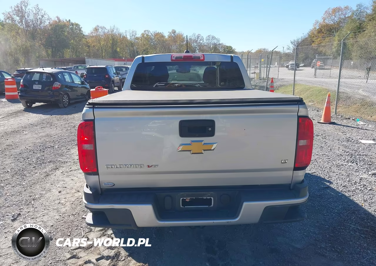 2019 Chevrolet Colorado Lt VIN:1GCGSCEN5K1309698 - 16