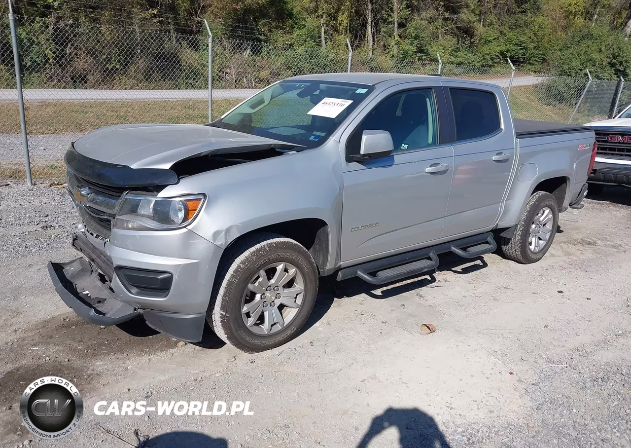 2019 Chevrolet Colorado Lt VIN:1GCGSCEN5K1309698 - 2