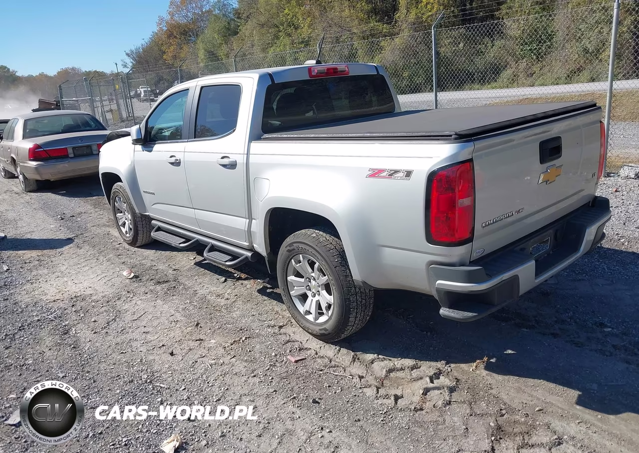 2019 Chevrolet Colorado Lt VIN:1GCGSCEN5K1309698 - 3