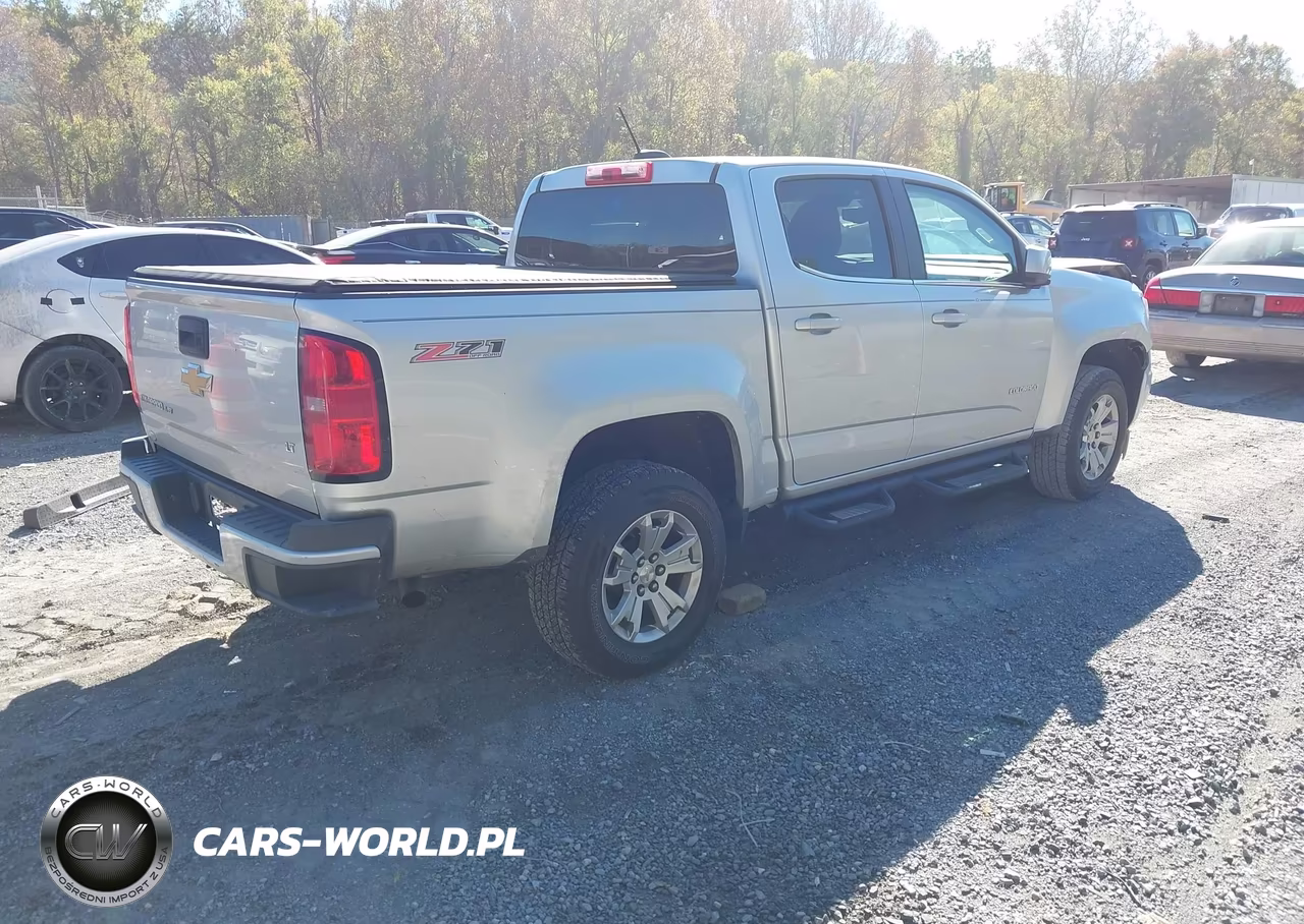 2019 Chevrolet Colorado Lt VIN:1GCGSCEN5K1309698 - 4