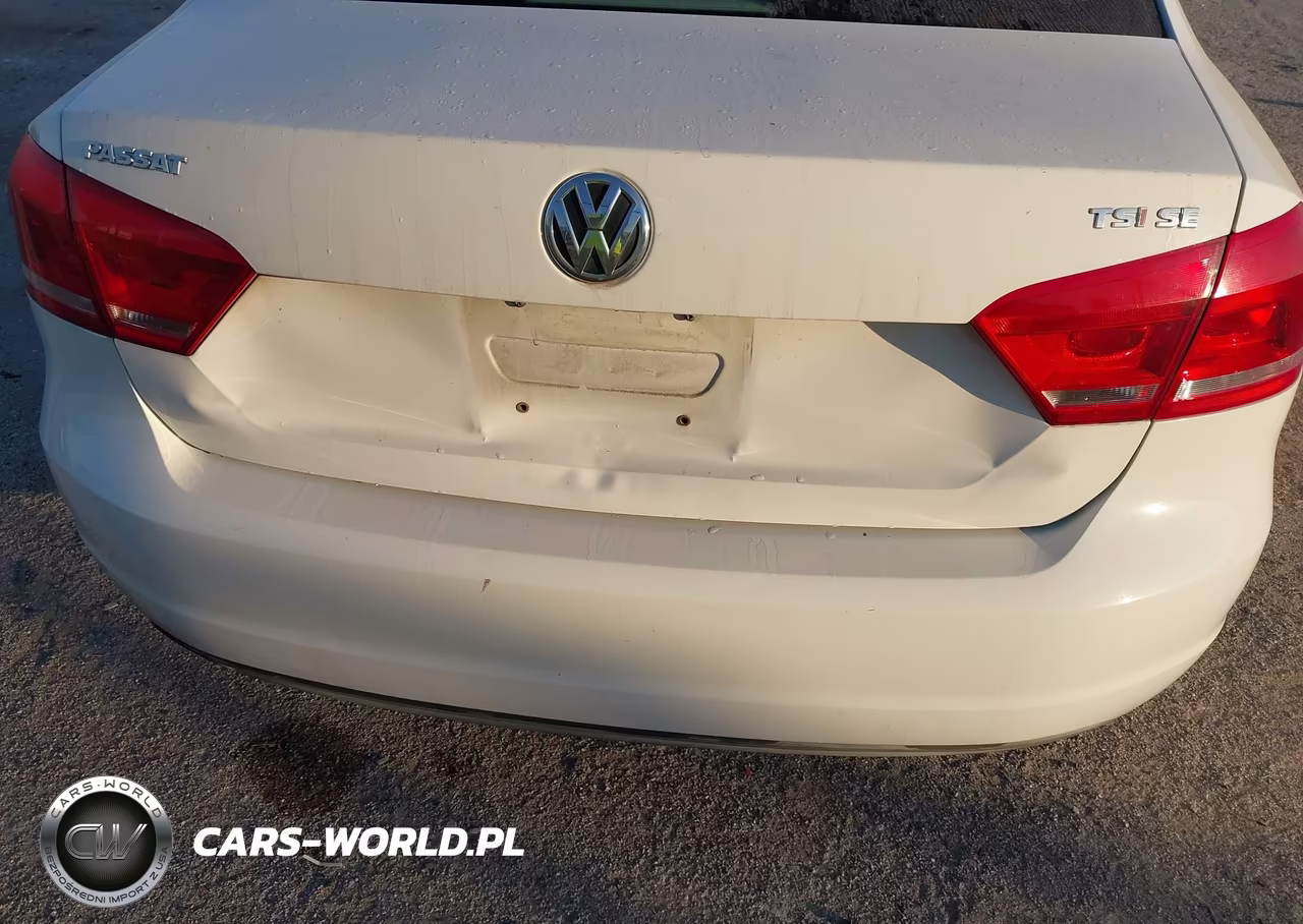 2014 Volkswagen Passat 1.8T Se VIN:1VWBS7A31EC115617 - 12