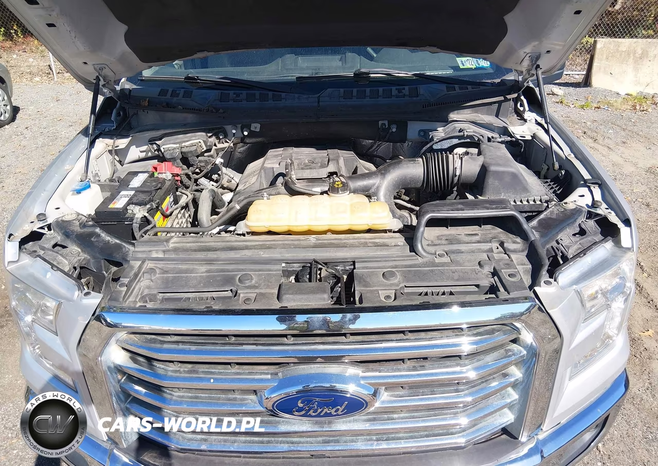 2015 Ford F-150 Xlt VIN:1FTEX1EP4FFC25265 - 10