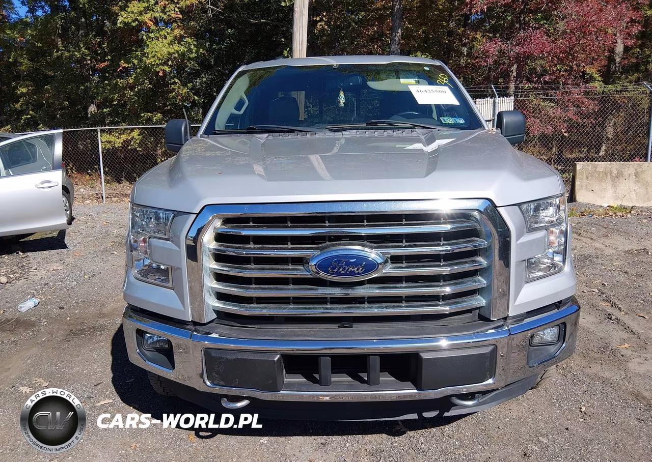 2015 Ford F-150 Xlt VIN:1FTEX1EP4FFC25265 - 12