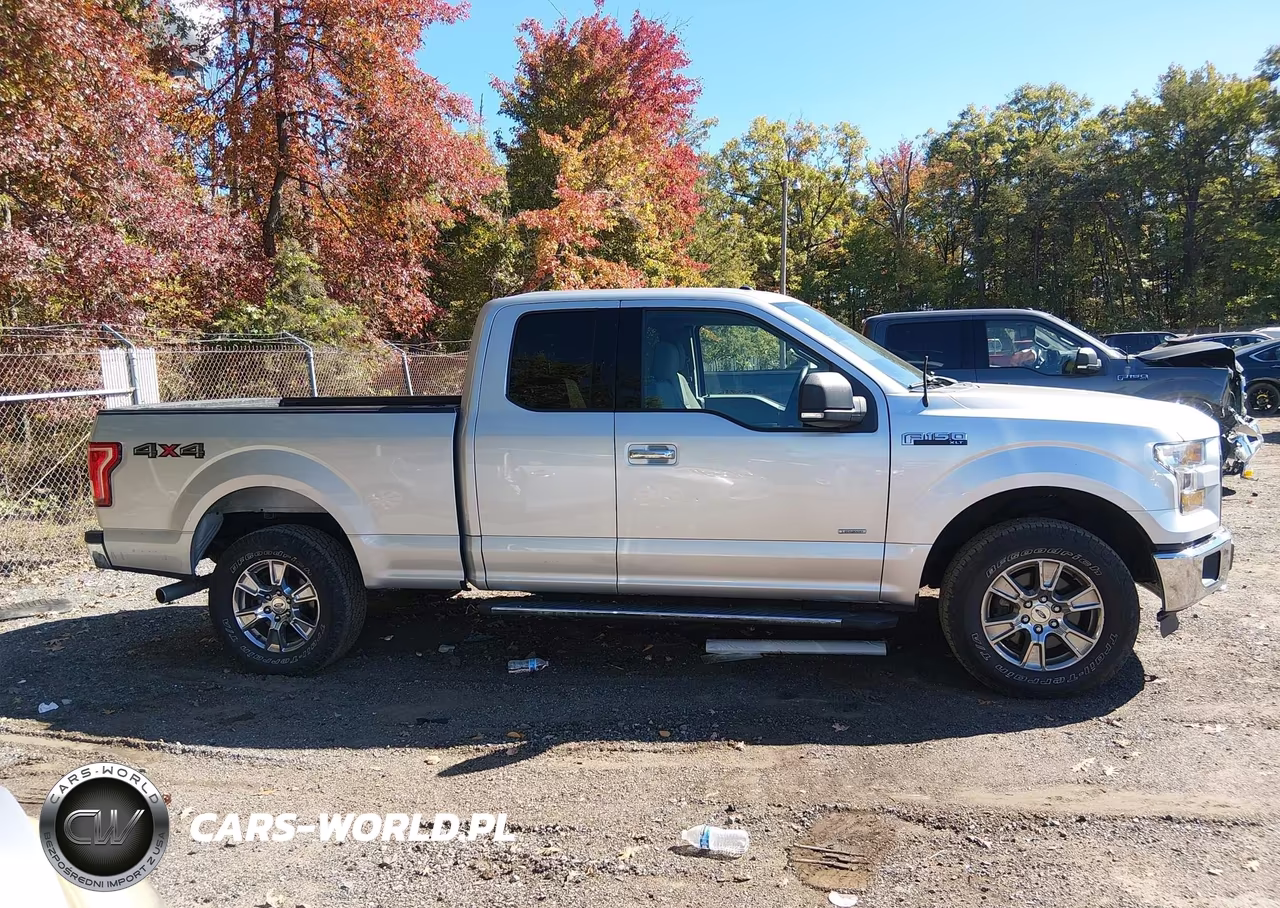 2015 Ford F-150 Xlt VIN:1FTEX1EP4FFC25265 - 13