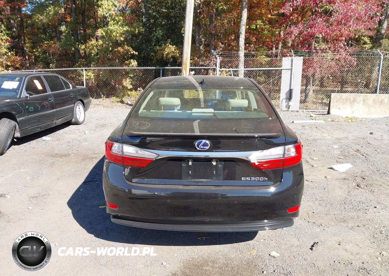 2016 Lexus Es 300H VIN:JTHBW1GG6G2114954 - 16