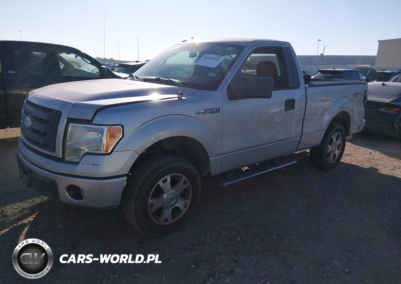 2009 Ford F-150 Stx-Xl-Xlt VIN:1FTRF12W29KC23154 - 2