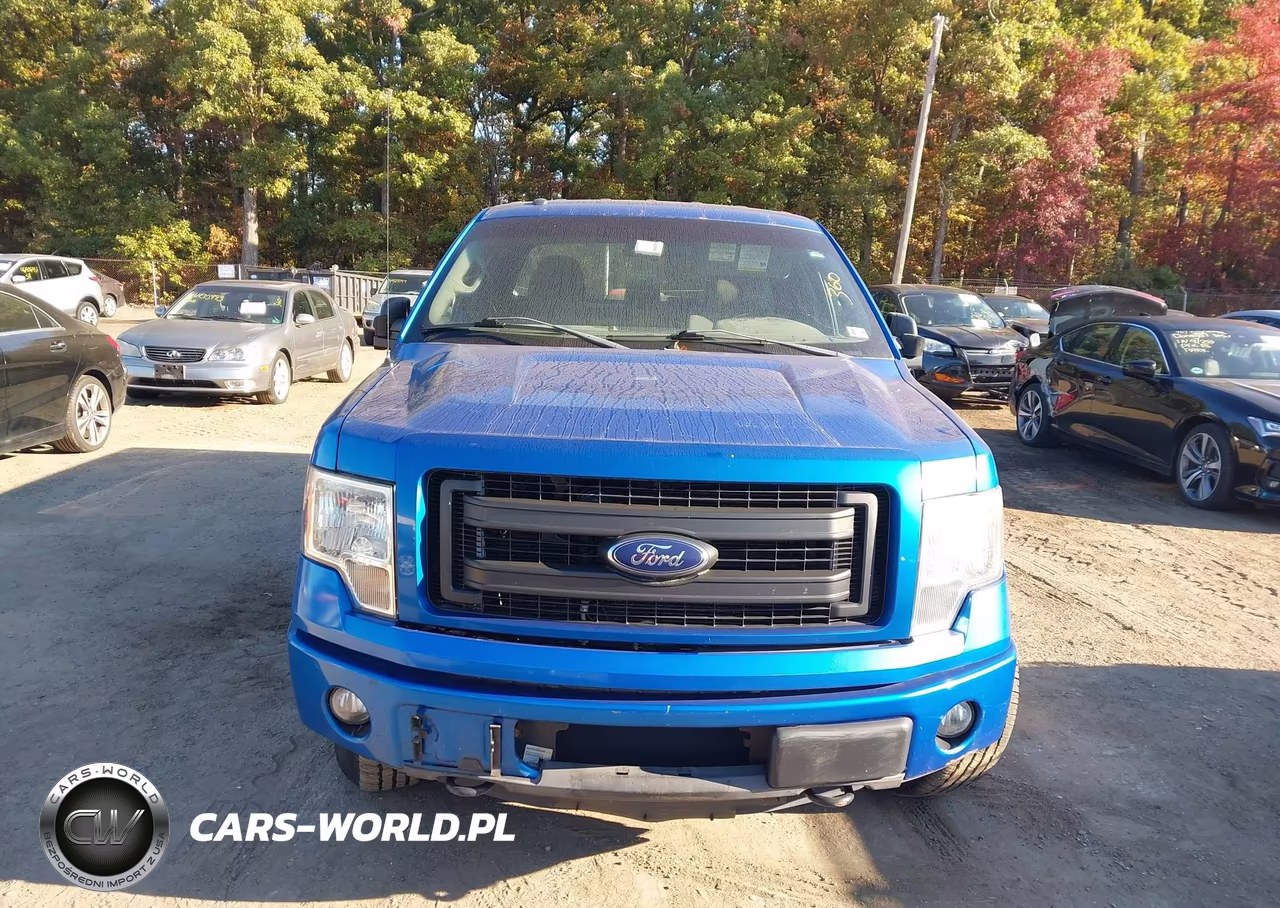 2014 Ford F-150 Stx VIN:1FTFX1EF2EKG43292 - 12