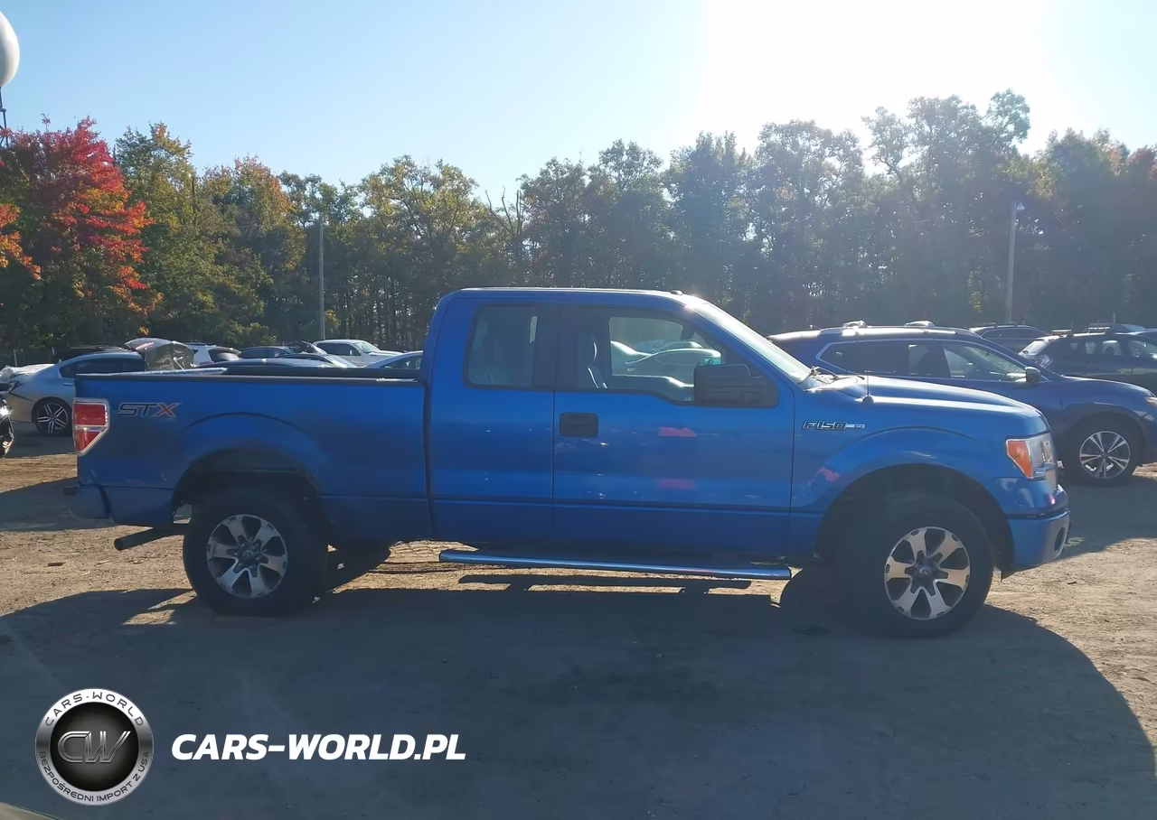 2014 Ford F-150 Stx VIN:1FTFX1EF2EKG43292 - 13