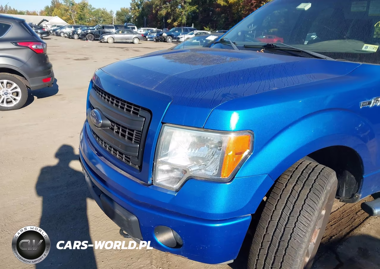 2014 Ford F-150 Stx VIN:1FTFX1EF2EKG43292 - 6