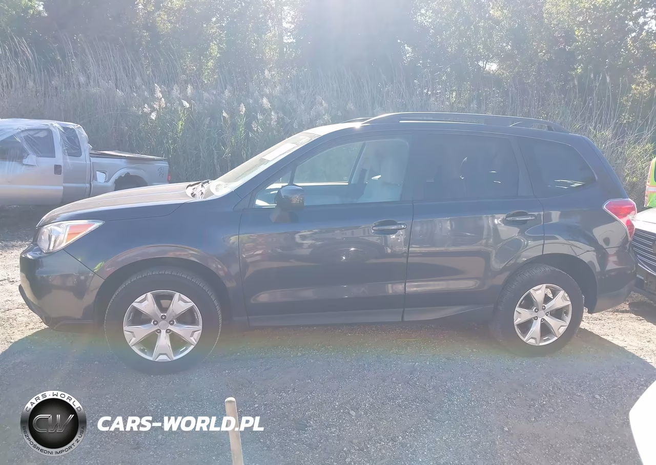 2016 Subaru Forester 2.5I Premium VIN:JF2SJADC1GH411081 - 15