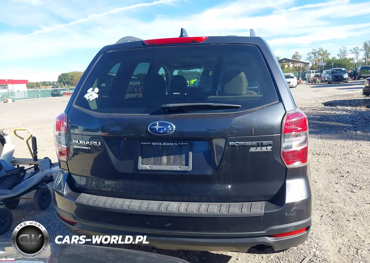 2016 Subaru Forester 2.5I Premium VIN:JF2SJADC1GH411081 - 17