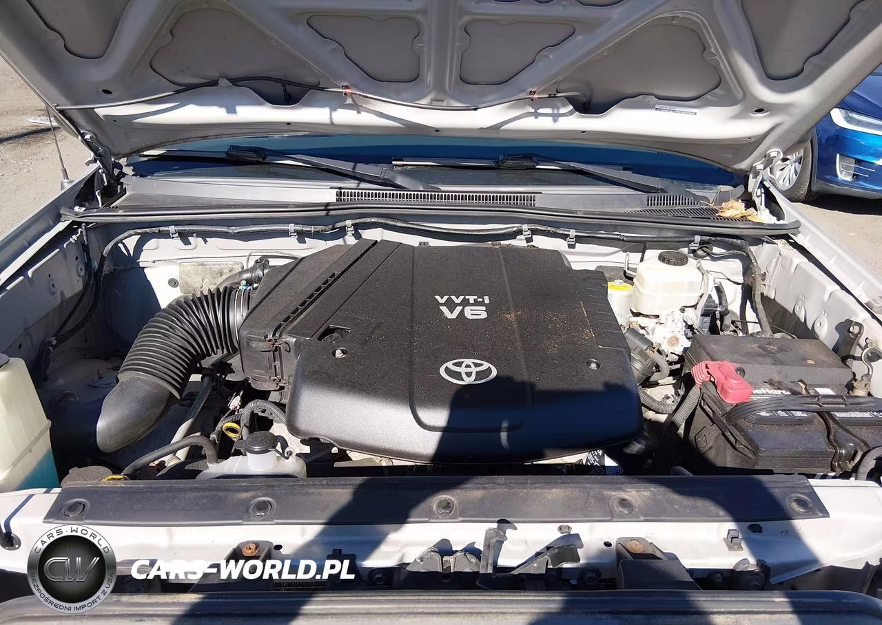 2010 Toyota Tacoma Base V6 VIN:5TELU4EN5AZ681187 - 10