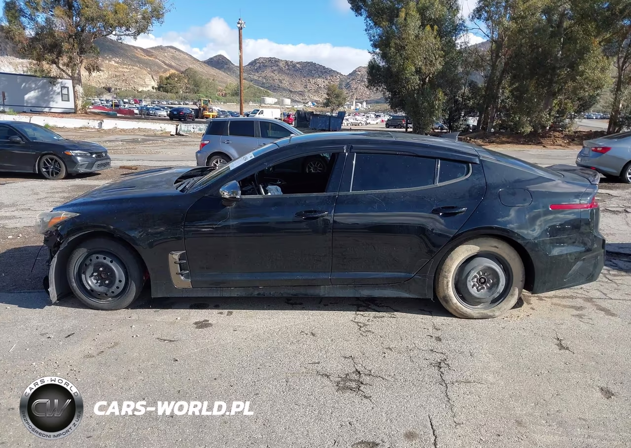 2018 Kia Stinger Gt2 VIN:KNAE55LC7J6025211 - 13