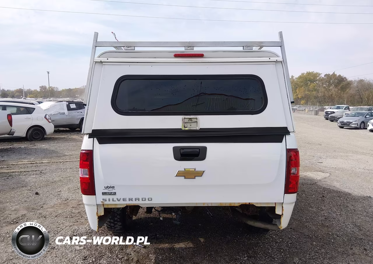 2007 Chevrolet Silverado 1500 Work Truck VIN:1GCEK14067Z582062 - 21