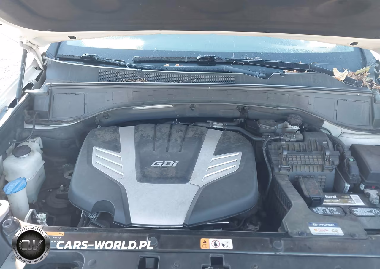 2017 Hyundai Santa Fe Se VIN:KM8SM4HF1HU165620 - 10