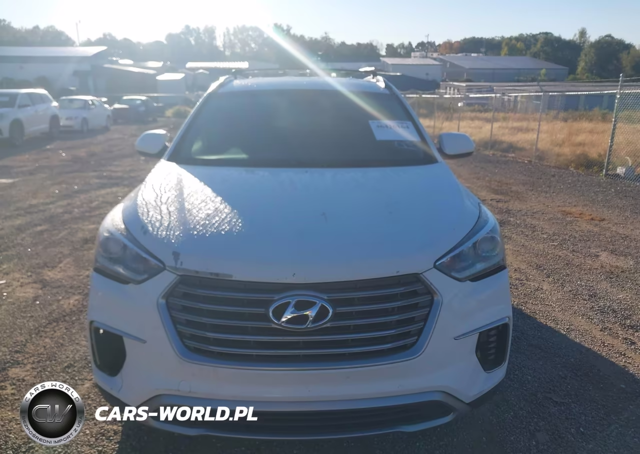 2017 Hyundai Santa Fe Se VIN:KM8SM4HF1HU165620 - 12