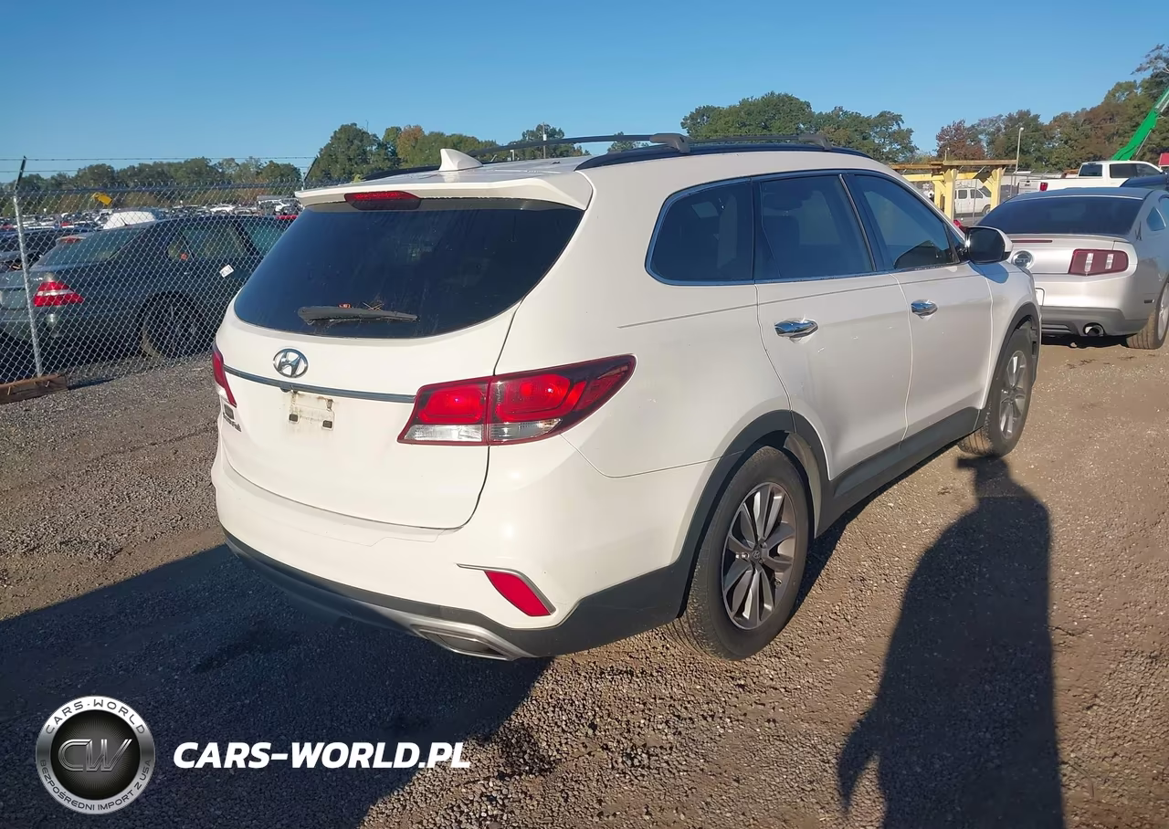 2017 Hyundai Santa Fe Se VIN:KM8SM4HF1HU165620 - 4