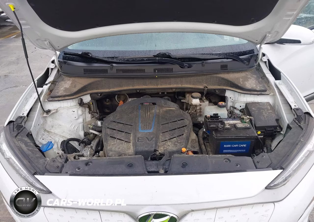 2020 Hyundai Kona Electric Ultimate VIN:KM8K53AG9LU062934 - 10
