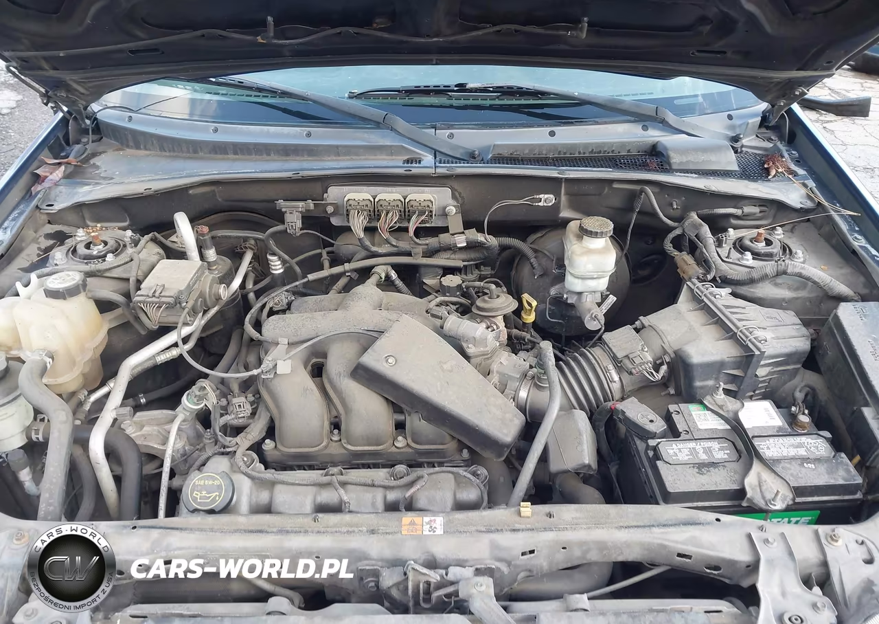 2006 Ford Escape Xlt-Xlt Sport VIN:1FMYU931X6KD36098 - 10
