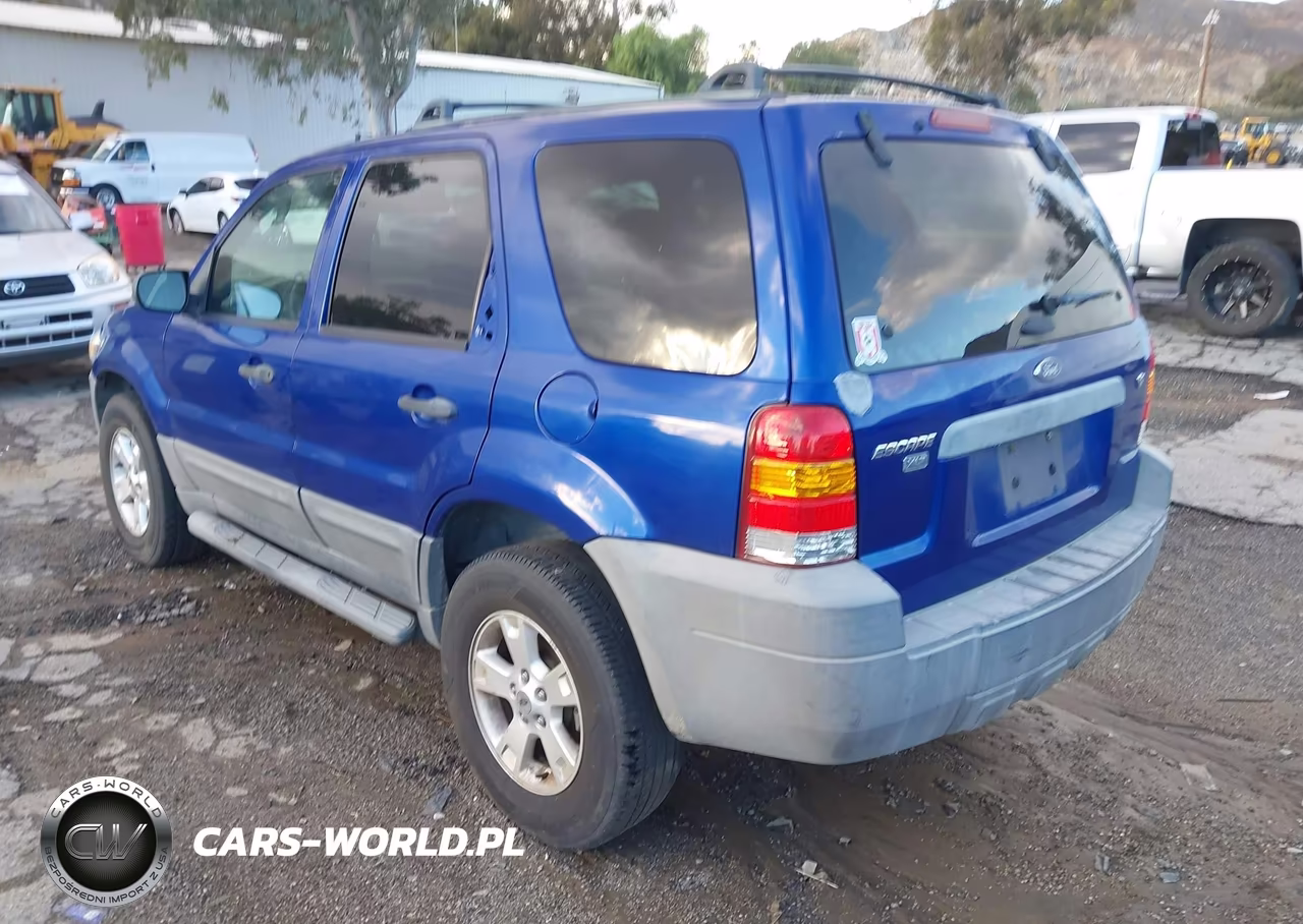 2006 Ford Escape Xlt-Xlt Sport VIN:1FMYU931X6KD36098 - 3