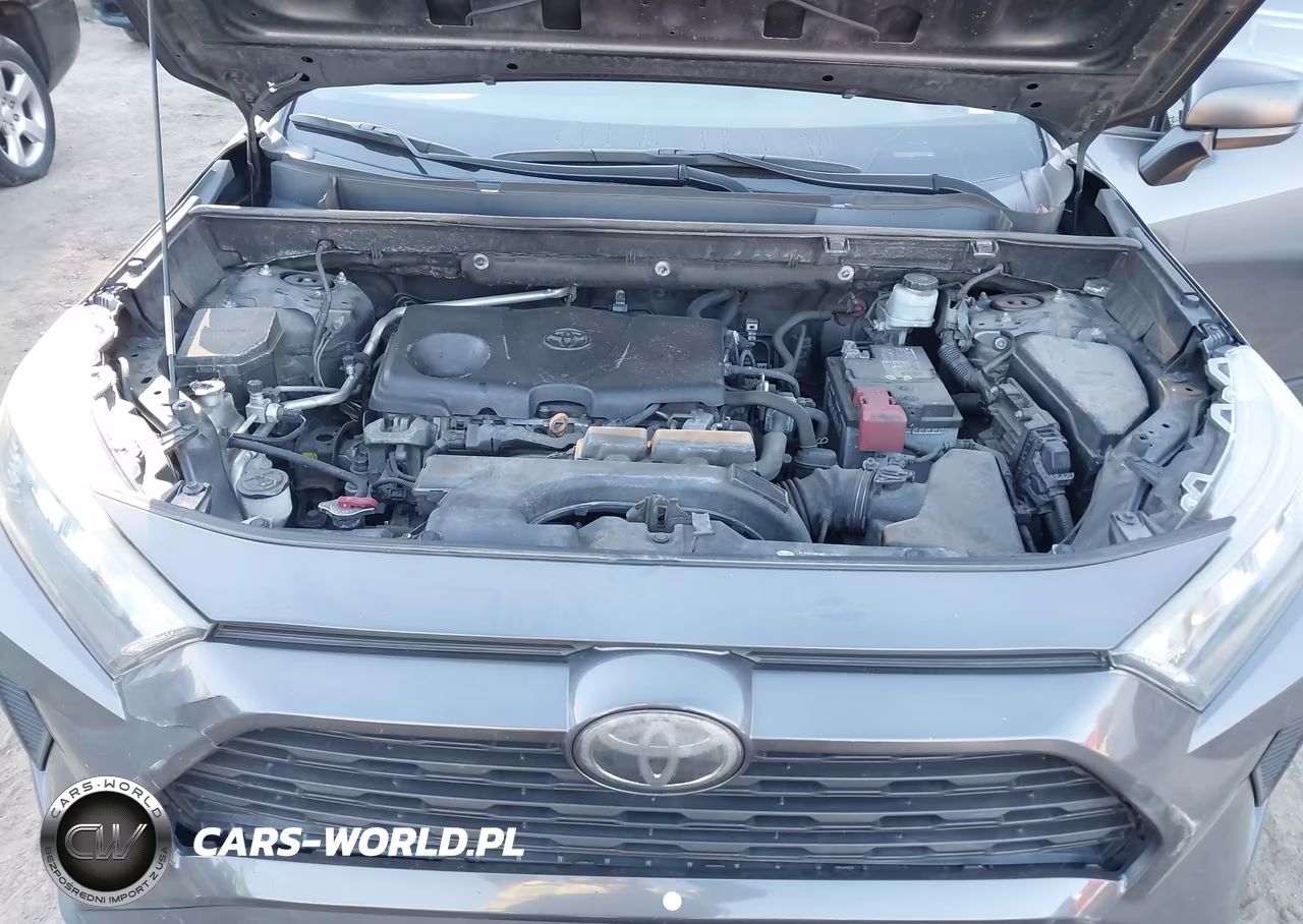 2019 Toyota Rav4 Le VIN:2T3H1RFV1KW019520 - 10