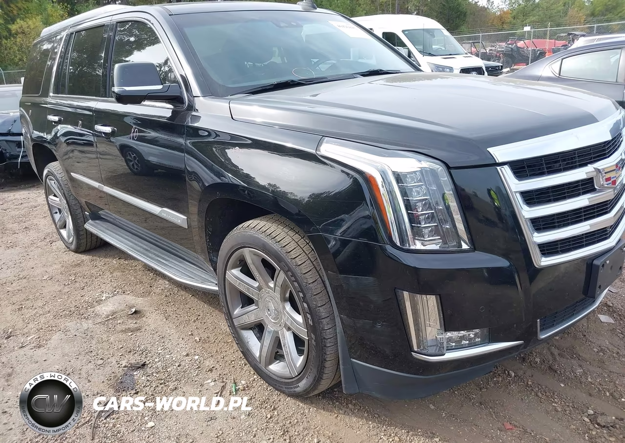 2019 Cadillac Escalade Luxury VIN:1GYS4BKJ6KR378511 - 1