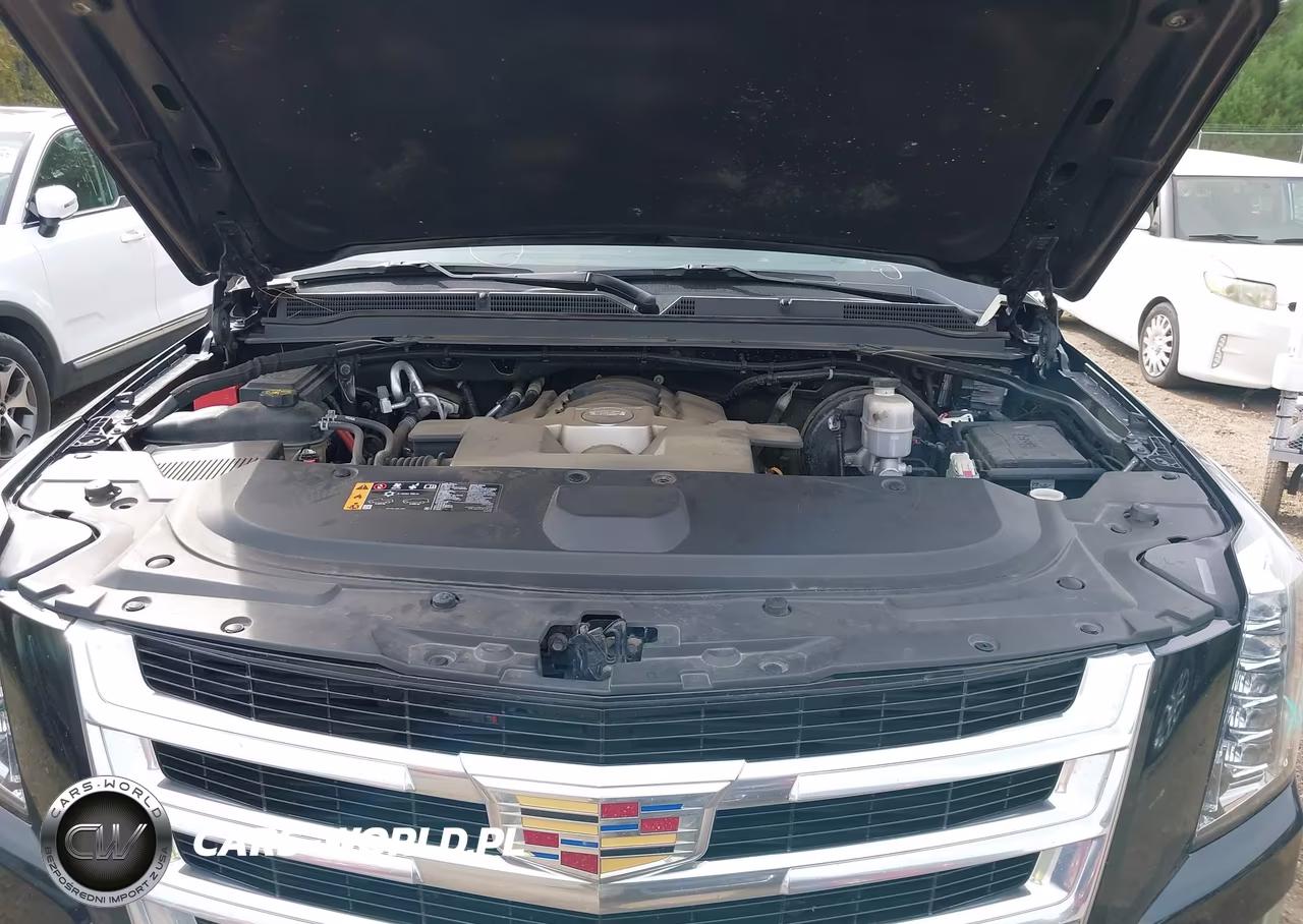 2019 Cadillac Escalade Luxury VIN:1GYS4BKJ6KR378511 - 10