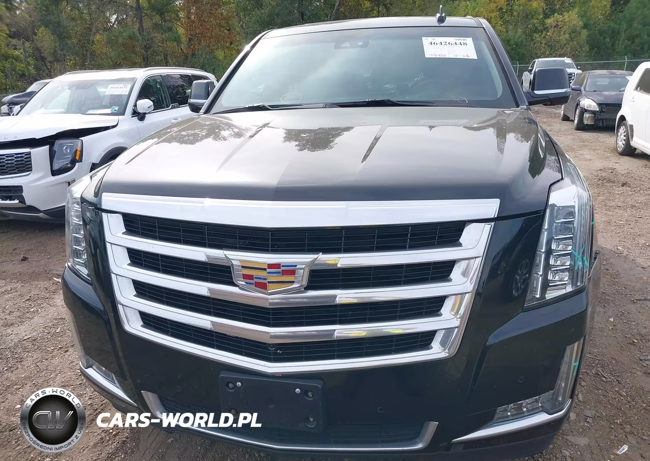 2019 Cadillac Escalade Luxury VIN:1GYS4BKJ6KR378511 - 12
